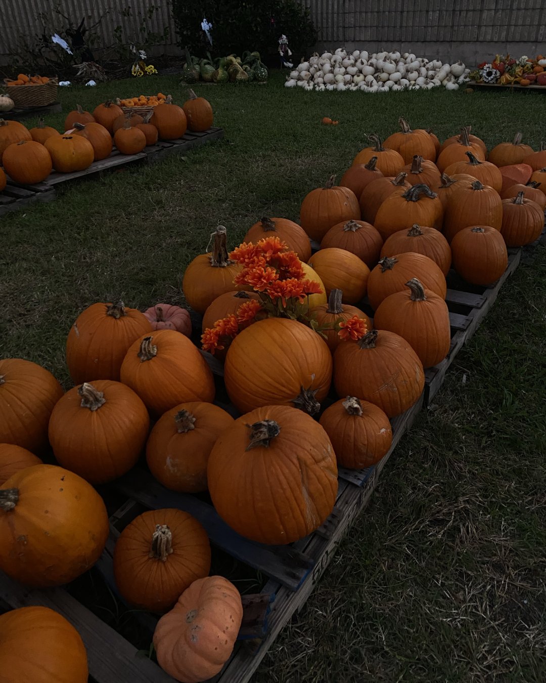 SLND TN SPIRIT HALLOWEEN Spirit Halloween pumpkin patch